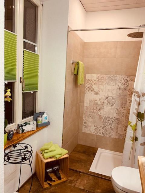 Gurtnellen Casa Restelli Eg - Nahe Andermatt Gotthard מראה חיצוני תמונה